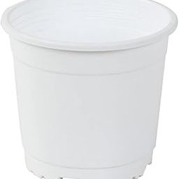 CAPPL White Sunrise Pot 14.5 cm (Pack of 100)-11
