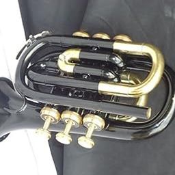 Sai Musical Store Bb POCKET TRUMPET Low Pitch Brass Musical Instrument | In BLACK | Suitable for Beginners With Cushioned Hard Case-image-12