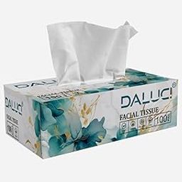 DALUCI 2 Ply Facial Tissue Box Car Tissue (1 Boxes (100 Pulls))-image-34