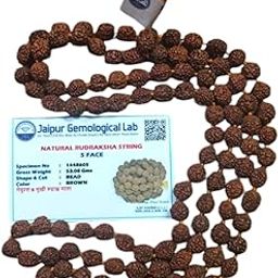 Genuine Original Rudraksha Maala | 5 Mukhi Rudraksha Original | 5 mukhi rudraksha Original Certified | Certified Maala for Men & Women with Certificate-picture-40