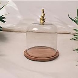 Glass Dome with Wooden Base, Golden Decorative Accent-image-26