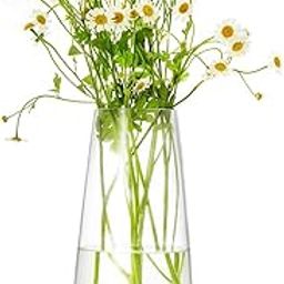 BS AMOR Clear Glass Vase for Decor Home Handmade Modern Large Flower Vases for Centerpieces Living Room Kitchen Office Wedding 8.7 Inch (Clear)-image-92