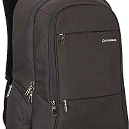 Darwin Dx Laptop Backpack - 29 litres Linen Polyester Durable Fabric Office Laptop Bag-image-27