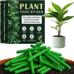 Bellox 30pcs Plant Food Sticks for Indoor and Outdoor Plants | Natural Plant Fertilizer Food for plant growth and healthy flower and fruits| Multi-Purpose Plant Growth Booster-image-16
