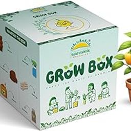 SATTVAMRIT Sattvishtik Grow Box Capsicum Vegetable Kit for Kids | Pack of 1 | Eco Friendly Gift for Kids | Beginner Gardeners | DIY | Easy Grow it Yourself Gardening Kit for Home & Garden-image-15