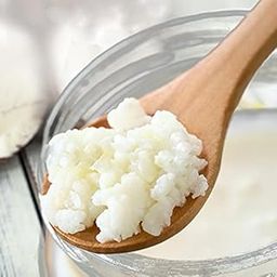 Mr Kefir - Live Milk Kefir Grains (Premium/Large Size 10 Grams) | Lab Tested - Contains 2.2 Billion CFUs per Gram | Free Strainer | Dedicated Support Team | Reusable Forever | Live Grain Guarantee-image-20