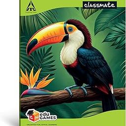 Classmate Notebook | 72 Pages | Single Line | 24.0cm x 18.0cm | Pack of 4 | Ruled Notebook for School Students-image-32