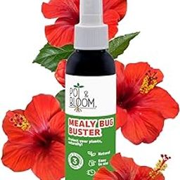 Mealy Bug Buster Spray | Natural Germs Killer for Plants| No Harmful Chemicals| Indoor & Outdoor Plants| Ready to Use|Helps in Plant Growth - 100 ML Pack of 1-image-35