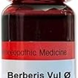 Dr. Reckeweg Berberis Vul Mother Tincture Q Drop -20 ml (Pack of 1)-picture-12