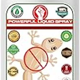 Erwon® Lizard Repellant Spray | Pure Herbal Lizard Repellent for Home | Pet-Friendly I Non-toxic & Biodegradable | Irritant-Free I Chemical-Free (15 Days Protection) (500 ml)-picture-10