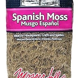 Mosser 0560 Spanish Decorative Moss, 250-Cubic Inch-image-2