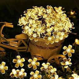 Desidiya Plastic 16 Flower Led Curtain String Lights 3 Meters-Warm White for Indoor/Outdoor Decoration-Diwali,Christmas,Wedding,Party,Home&Patio-Corded Electric(Pack of 1)-image-28
