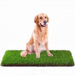 Eurotex 45 mm Artificial Grass Carpet Mat for Balcony, Lawn, Door, Soft Comfortable (PE & PP, Natural Green, 1.25 x 2 ft)-image-48