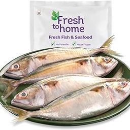 FreshToHome Mackerel/Ayala/Bangda/Aylai (5 to 9 Count/kg) | Whole | 480g to 500g Pack | Not Cleaned | Fresh | Never Frozen-image-30