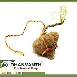 Agasa Garudan Kizhangu/Akasgaddah/Redfruit Creeper/Raw Tubes for Against Evil Eye, Witchcraft, Black Magic, Insect BITE,(Pack of 1 Pc-300 Grams)- (Dhanvanth- The Herbal Shop)-22