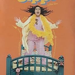 DKD Gippi Movie vcd-image-62