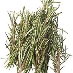 Fresh Rosemary, 100 g-image-81