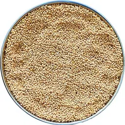 generic Pet & Vet Store Premium Foxtail Millet Kangni Seeds for Birds Food, 450gm, Nutrient-Rich, All Life Stages, Canaries, Finches, Waxbills, Budgies, Lovebirds, Cockatiels, Parrots, Parakeets. (450G).-picture-5