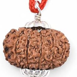 13 Mukhi Rudraksha Original Nepali Bead with Lab Certificate in Unisex Pendant - Brown-picture-47