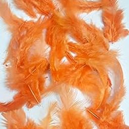 MSGH Natural Dyed Feathers Mixed Size 180 pcs (Orange)-image-15