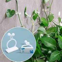 MeeTo Plant Climbing Wall Fixing Clip/Indoor Cable Tie Clip/Self Adhesive Vine Plant Climbing Support Clip - (Set of 30)-image-98
