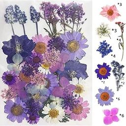 Purple Pressed Flowers for Art Craft Natural Dried Real Dry Flowers Mixed, Multicolor for Soap, Candle, Scrapbooking, DIY, Resin Jewelry, Pendant-image-28