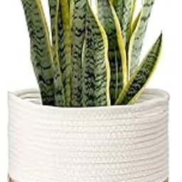 Ikom 6 Inch Planter - Indoor Pots for Plants Used in Home Decor, Garden, Bathroom, Living Room Etc - Half White-13