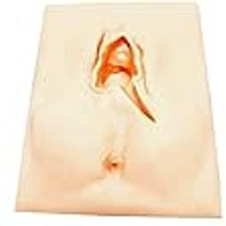 SECRET DESIRE Vulva Practice Silicon Female Vulva Incision For Study Display Cut Left-image-64