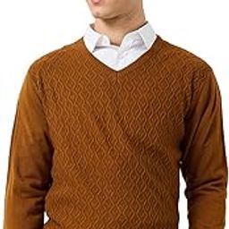 Men Regular Fit Structure Pattern Pure Acrylic Full Sleeve V Neck Casual Sweater-picture-5