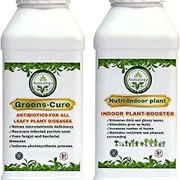 Indoor Plants booster+Greens plants cure Combo|Indoor Plants booster+Care|Complete Leaf Care Solution For Healthy,Disease-Free,Fast-Leafy plants|Promotes Fast and Healthy Growth (1000ml+1000ml)-image-18