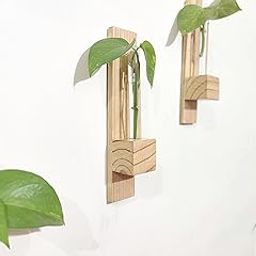 ZYNZS® Test Tube Planter Set of 4 | Hand Made | Indonesian Pine Wood | Wall Planters | Stick to Wall | Decorative Plants | Planters for Home Decor and Balcony | Planters for Living Room-picture-4