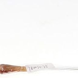 Club Bollywood®Music Conductor Baton Orchestra Band Concert Conducting Baton #1| Equipment | Other Musical Instrument Equip|1 Piece Conductor Baton-image-27