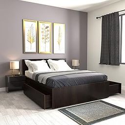 Studio Kook Aztec Engineered Wood Queen Bed with 2 Large Drawers (Matte Finish) (Junglewood)-image-30