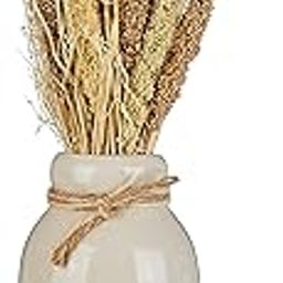 Home Centre Corsica Eden Millet Decorative Flower with Ceramic Pot-picture-28