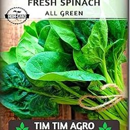 Palak Seeds Purely Organic Spinach 500g Seeds Packet - Seeds Non-GMO, Open Pollinated, Heirloom for Planting Vegetables-image-54