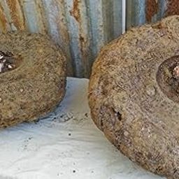 CooPany® Elephant Foot Yam/Karna Kizhagu/Suran (2 Kg)-image-21