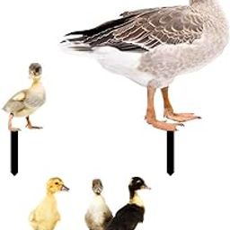 HEAVENGLOW 5Pcs Duck Animal Statue Stakes Acrylic Garden Stakes for Backyard Yard Decor-image-31