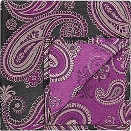 Kavove The Radiant Paisley Pocket Square For Men-image-26