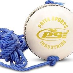 PSE Priya Sports Unisex Leather Hanging Practice Cricket Ball for ODI/Test Match/Practice Match |Pack of 12 |White Color| (White_Pack_of_1, 1.00)-image-38