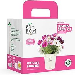 Pot and Bloom Cosmos Gardening Kit | Complete Home Gardening Set with Cosmos Seeds, Pot, Potting Mix (Soil & Fertilizer), and Plant Growth(nutrition) and Protection Spray | Ideal Return Gift-23