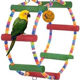 Sage Square Wooden Bead Swing Toy for Parrot with Giant Wheel - Playful Natural Wooden Bead Swing Toy for Budgies, Cockatiel, Lovebird, Sun Conure, Finch, African Grey, Canary, Cockatoo, Macaw Birds-image-39