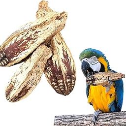 JOYNAGAR 20-Piece Natural Dried Natural Mahogany Pods Bird Toys for All Birds - Wooden Parrot Toys for Beak Health and Avian Enrichment-image-55