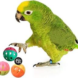 The Pets Company Bird Interactive Bell Ball, Bird Toy for Parakeet, Cockatiel, Budgerigar, Parrots, 1.5 Inches (Pack of 3)-17