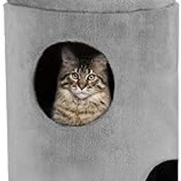 FURRLOVERS Cat House with Plush Cushion, 2 Levels (Grey - FURR-12)-picture-16