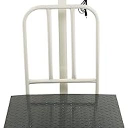 iScale ISP-500M Capacity 500kg x 50g Accuracy,Electronic Weighing Scale with Front Back Double Display, MS Pan,24x24" with RS232 Serial port for computer connectivity & continues data transmission-48