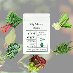 City Greens Exotic Leafy Vegetables Garden Seeds - Lettuce, Curly Kale, Bok Choy(Pakchoi, Bokchoi), Swiss Chard, Arugula - Total No of Seeds 190.-image-7