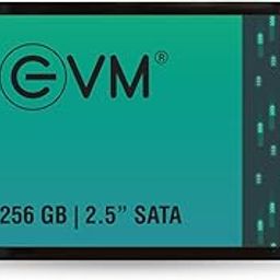 EVM 256GB 2.5-Inch SATA Internal SSD - 550MB/s Read & 500MB/s Write - 5-Year Warranty (EVM25/256GB)-image-15