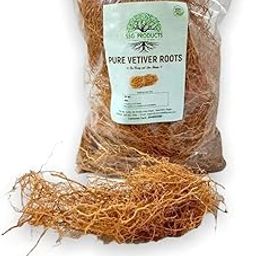 Organic Vetiver Roots/Vettiver Root/Vetiveria Zizanioides - 100 Grams-image-57