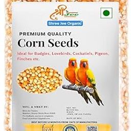 Shree Jee Organic Dry Corn Seeds Bird Food for Pigeons, Squirrel, Garden Animals, Doves, Canaries, Finches, Waxbills, Budgies, Lovebirds, Cockatiels (500, Gram)-image-41