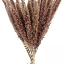 HEAVENGLOW 2x15x Dried Pampas Grass Phragmites Reed Flower Bunch Home Wedding Decor Gift Natural-image-49